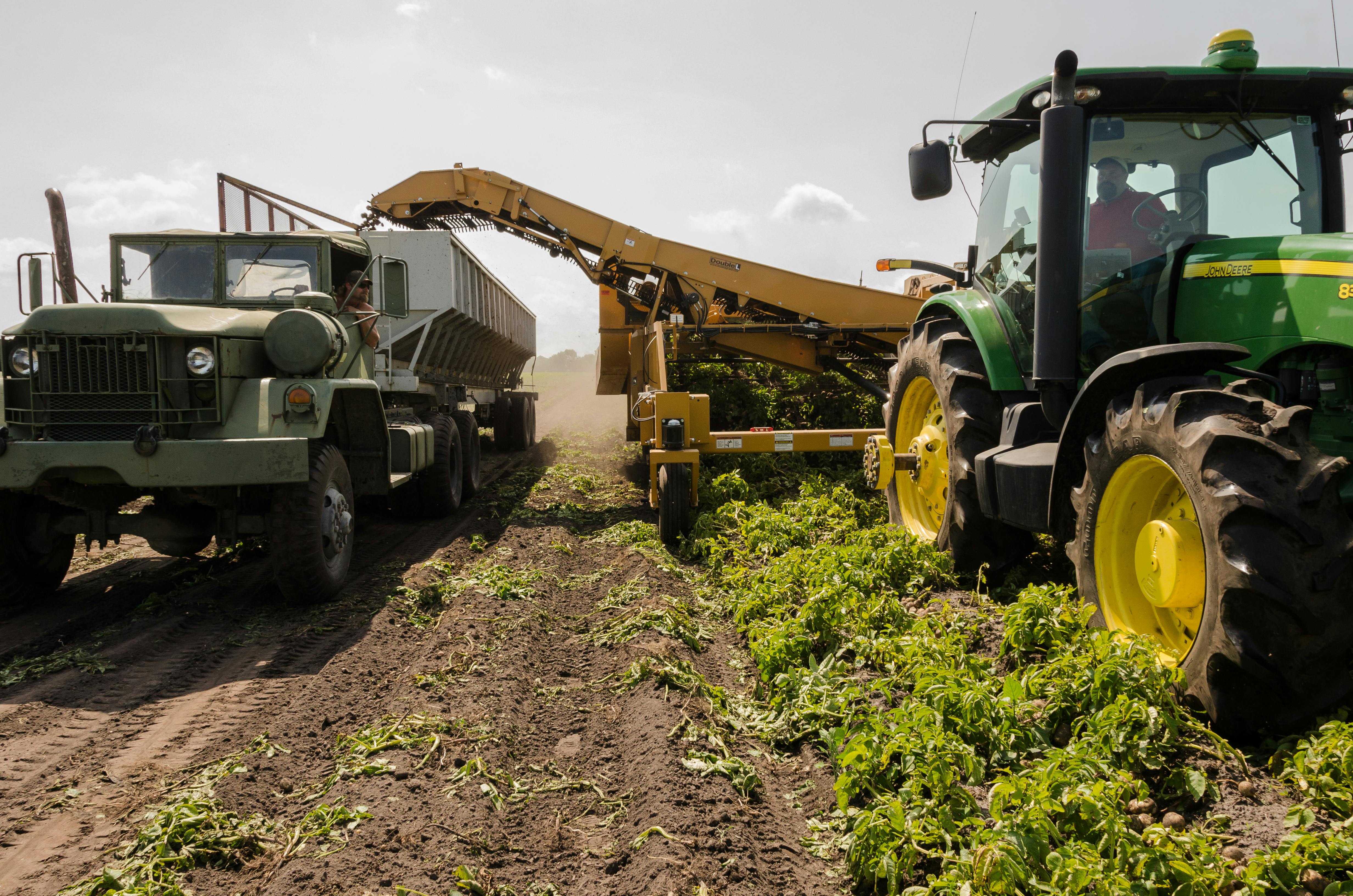 Farm scene